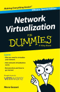 Network virtualization for dummies