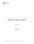 Big data in big companies