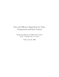Fast and ecient algorithms for video compression and rate control