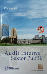 Audit internal sektor publik