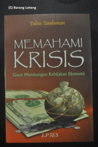 Memahami krisis : siasat membangun kebijakan ekonomi