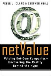 Net value: valuing dot-com companies - uncovering the reality behind the hype