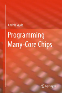 Programming mani-core chip