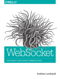 Web socket: lightweight client-server communications