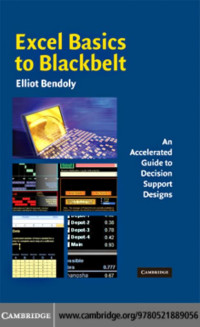 Excel basics to blackbelt : an accelerated guide to decision support designs