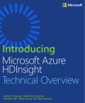 Introducing microsoft azure 
hdinsight
technical overview