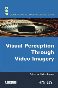 Visual perception through video imagery