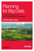 Planning for big data: A CIO's handbook to the changing data landscape