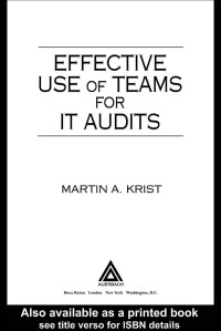 Effective use of teams for IT audits