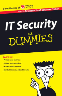 IT security for dummmies